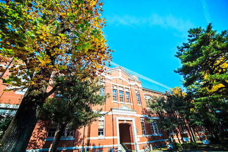 Kyoto University at fall for adv or others purpose useのeditorial素材