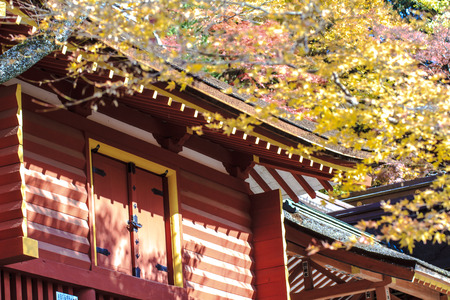 Tanzan Shrine at fall for adv or others purpose useのeditorial素材
