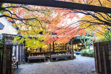 Kyoto, Japan - June 30, 2014: Red maple trees in a japanese gardenのeditorial素材