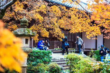 Kyoto, Japan - June 30, 2014: Red maple trees in a japanese gardenのeditorial素材