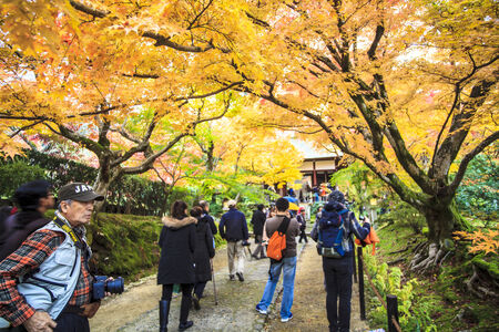 Kyoto, Japan - June 30, 2014: Red maple trees in a japanese gardenのeditorial素材