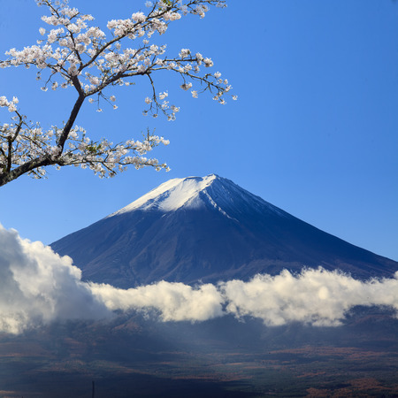 the sacred mountain of Fuji in the background of blue sky at Japan for adv or others purpose useの写真素材
