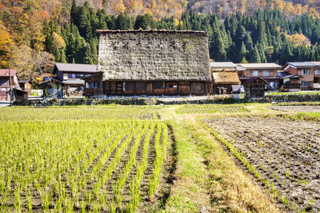 The Historic Villages of Shirakawa-gand Gokayama for adv or others purpose useのeditorial素材