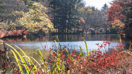 Autumn color of pond, Karuizawa, Nagano, Japanの写真素材