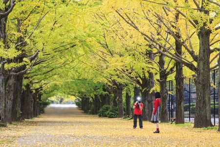 Showa Memorial Park in Tachikawa, Japanのeditorial素材
