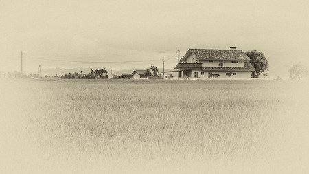 The beauty of the farmland in Taitung Taiwan for adv or others purpose useの写真素材