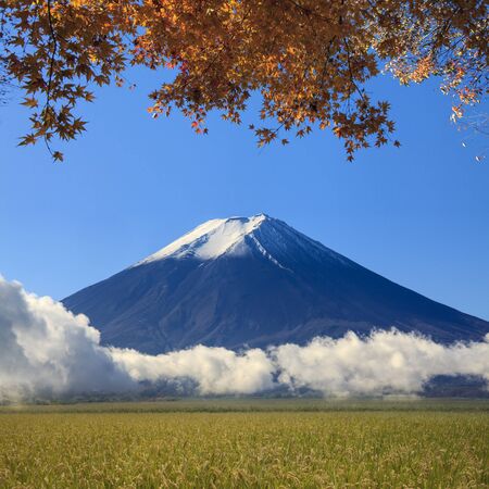 Image of sacred mountain of Fuji in the background at Japan for adv or others purpose useの写真素材