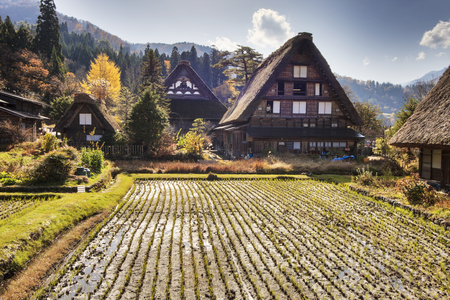 Traditional and Historical Japanese village Ogimachi - Shirakawa-go, Japanのeditorial素材