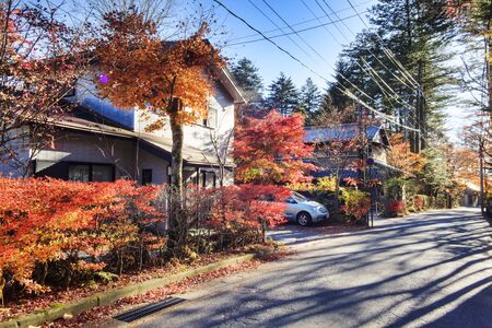 Autumn color of pond, Karuizawa, Nagano, Japanのeditorial素材