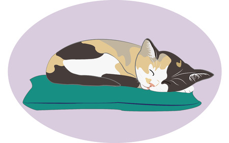 The cat with nice background isolated with nice backgroundのイラスト素材