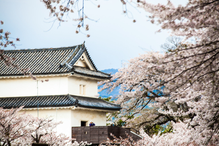 Kyoto, Japan - July, 12 : The perspective view of kyoto stree view as background in the sakura season