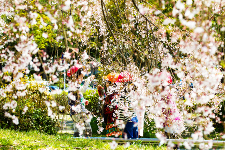Kyoto, Japan - July, 12 : The perspective view of kyoto stree view as background in the sakura seasonのeditorial素材