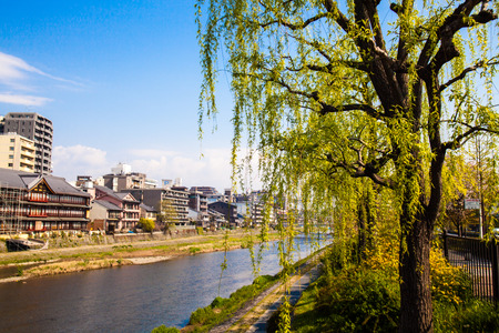 The perspective view of kyoto stree view as background in the sakura seasonのeditorial素材