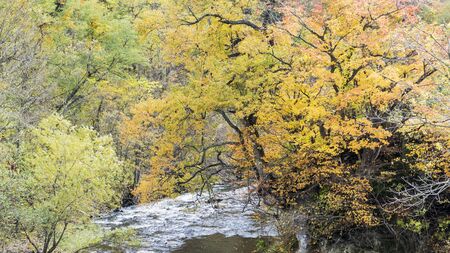 The Fudo stream and the red bridge at Mount Nakano-Momiji