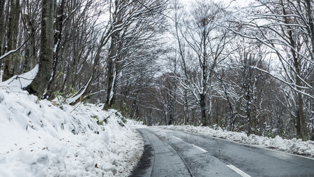 The Aomori prefecture, Tohoku region, Japan 2014の写真素材