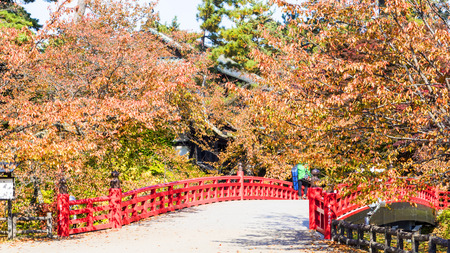 Aomori, Japan - 31 Oct, 2014 : Beautiful season at the Hirosaki Castle Park in Hirosaki, Aomori,...
