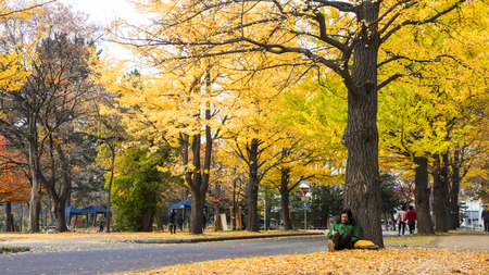 Hokkaido, Japan - 01 Nov, 2014 : The fall season in the autumn Hokkaido Universityのeditorial素材