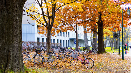 Hokkaido, Japan - 01 Nov, 2014 : The fall season in the autumn Hokkaido Universityのeditorial素材