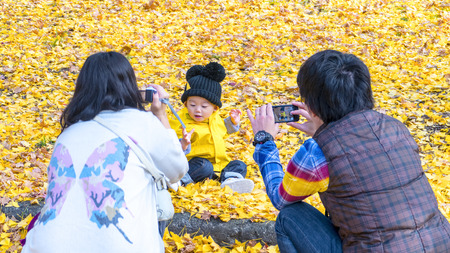 Hokkaido, Japan - 01 Nov, 2014 : The fall season in the autumn Hokkaido Universityのeditorial素材