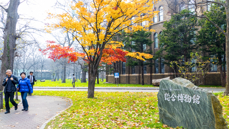 Hokkaido, Japan - 01 Nov, 2014 : The fall season in the autumn Hokkaido Universityのeditorial素材