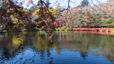 Nagano, Japan - 04 Nov, 2014 : The fall season of Karuizawa, Nagano with nice color, Japanのeditorial素材