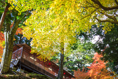 Kyoto, JAPAN - Nov 16, 2013: A pavilion at Jingo-ji, Japan. Jingo-ji, Japan is one of the closest natural recreation areas to Kyoto, offering beautiful scenery, an interesting temple and hiking opportunitiesのeditorial素材