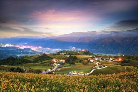 The Daylily Flowers Reaching Hualien, Taiwanの写真素材