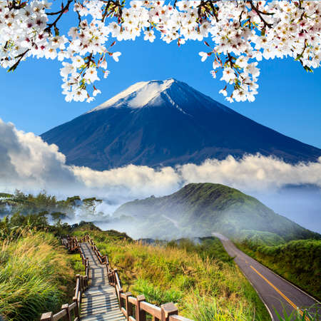 The imageing of beautiful landscapes with green road and nice backgroundの写真素材
