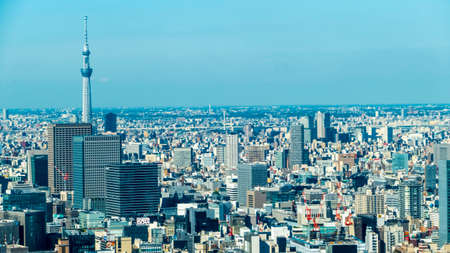 Tokyo, Japan - May 13, 2016 : The full viw of Tokyo city in the summerのeditorial素材