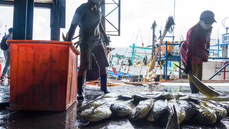 Taitung, Taiwan - May 28, 2016 : Fishing boats docked Chenggong Fishing Harbor remove fishing goodsのeditorial素材