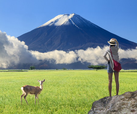 The 3d rendering of nice view lanscape with very nice backgroundの写真素材