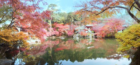 The traveler travel to autumn at daigoji temple, Kyoto, Japanのeditorial素材