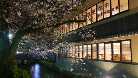 Kyoto, Jpana - March 28, 2015: beautiful sakura season in Kyoto city stree view with nice bridge for backgroundのeditorial素材