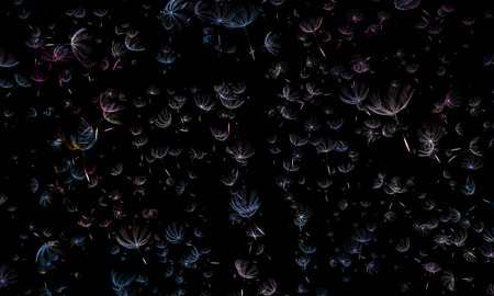 The dandelion seeds close up blowing in blue turquoise backgroundの写真素材