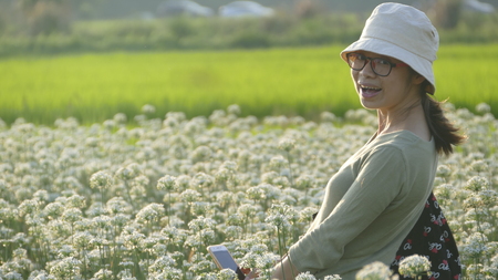 Daxi Chives, Taiwan - September 26th, 2017 September into the autumn before the beautiful Daxi leek flowers, Taiwanのeditorial素材
