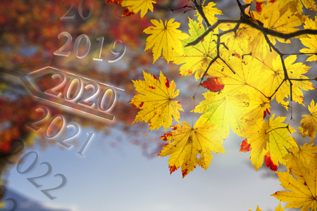 happy new year of 2020の写真素材
