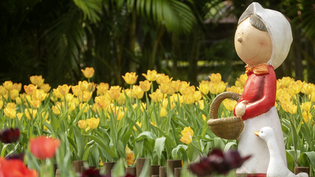 Taipei Shilin official residence, Taiwan - 21 Feb, 2019: 2019 Shilin official residence tulip exhibition, Taipei, Taiwanのeditorial素材