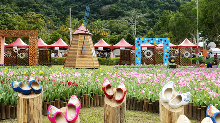 Taipei Shilin official residence, Taiwan - 21 Feb, 2019: 2019 Shilin official residence tulip exhibition, Taipei, Taiwanのeditorial素材