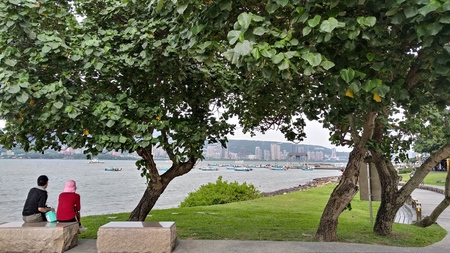 The easy life the sunny day people discuss under the tree after take a walkの写真素材