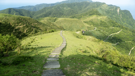 The Miscanthus on the Cao Ling Ancient Trail in the northeast corner of Taiwanの写真素材