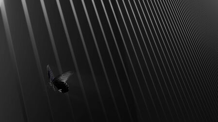 The 3d rendering of butterfly on the abstrate line background try to escape