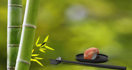 The 3d rendering of sushi and chopsticks with nice backgroundの写真素材