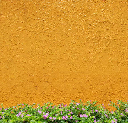 The Old hardwood decking or flooring with yellow background colorの写真素材