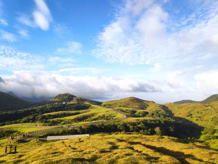 The natural source of alpine grasses is at Shangshan in Taipei City, Taipei City, Taiwanの写真素材