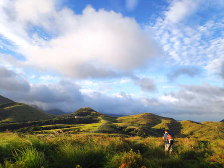 The natural source of alpine grasses is at Shangshan in Taipei City, Taipei City, Taiwanの写真素材