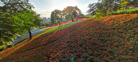 The San-Tseng-Chi Urban Park on a bright sunny day with colorful flower fields on the hillside under blue clear sky during Flower Festival, in Beitou District, Taipei City, Taiwanの写真素材