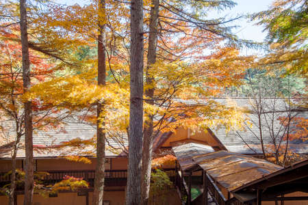 The autumn leaves of Karuizawa Cloud Field Pond, Japanの写真素材