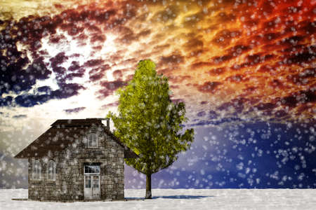 The 3d rendering tree and house in full leaf in winter against skyの写真素材