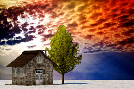 The 3d rendering tree and house in full leaf in winter against skyの写真素材