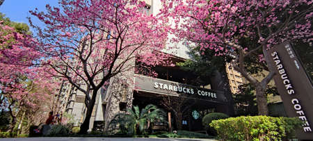 linkou, Taiwan - Jan 31, 2022 : Starbucks in linko, New Taipei City, Taiwan during springtime with...